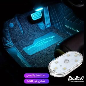 زوج من جناحي السيارة