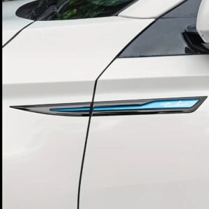 زوج من جناحي السيارة