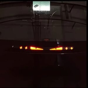 زوج من جناحي السيارة